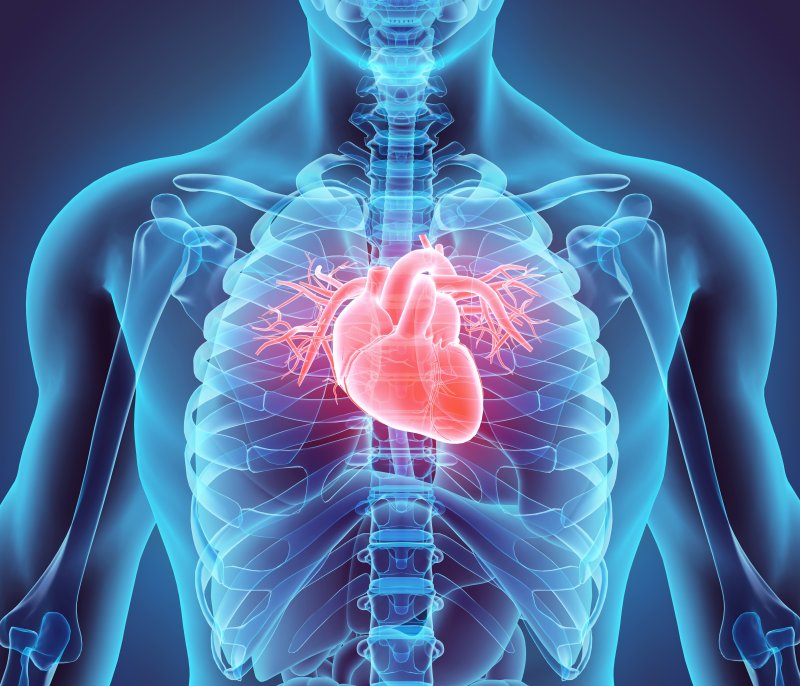 Heart 3D illustration